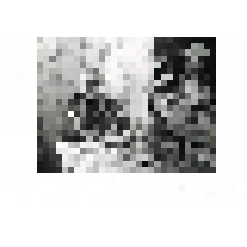 Фотография портретная. Меркулов Николай Нефедович. Из комплекта: Коллекция фотографий "Сургутяне - ветераны Великой Отечественной войны"