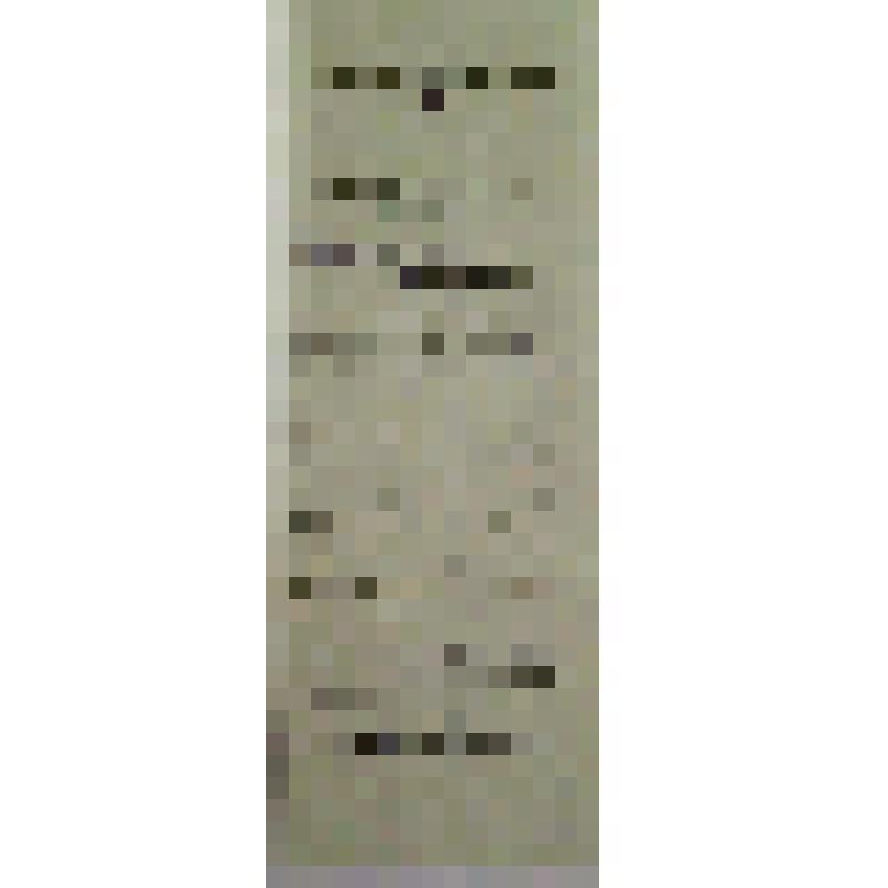 Программа. "Золотая паутина". Астрахань, Летний театр сада "Аркадия", наследник К. А. Полякович; Антреприза, Русская драма С.А. Соколова