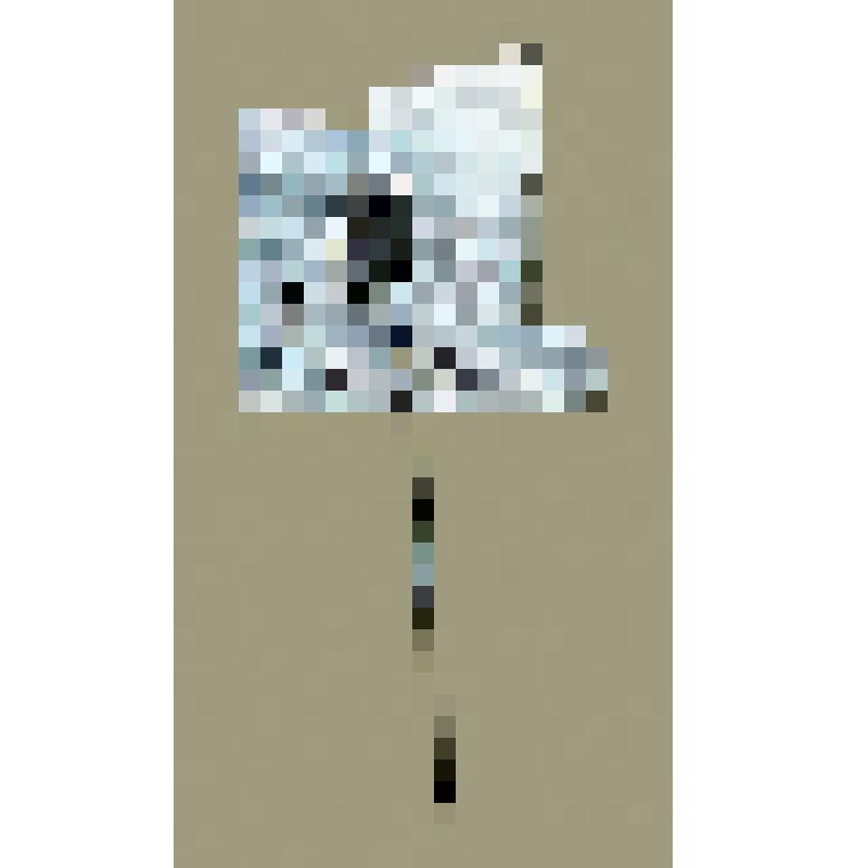 Значок с изображением мемориала в Разливе