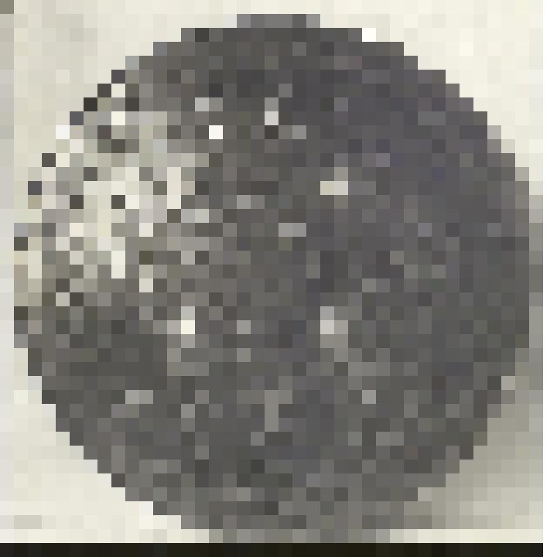 Негатив на стеклянном носителе. Парадный щит. Индийцы, сикхи