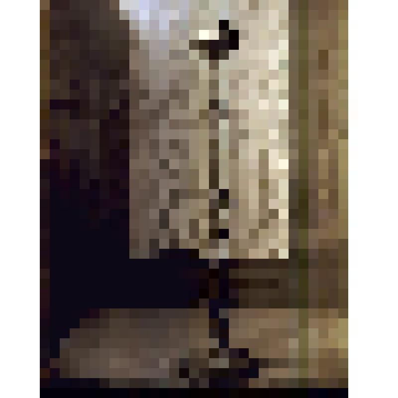 Негатив на стеклянном носителе. Лампа. Индийцы, сикхи