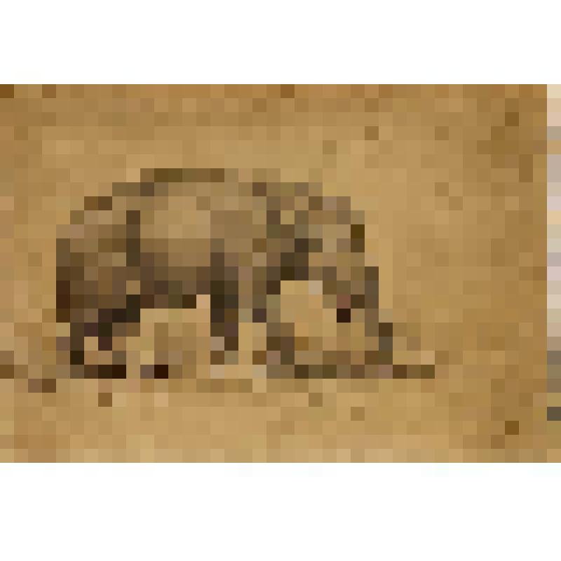 Палеомастодонт. Рисунок