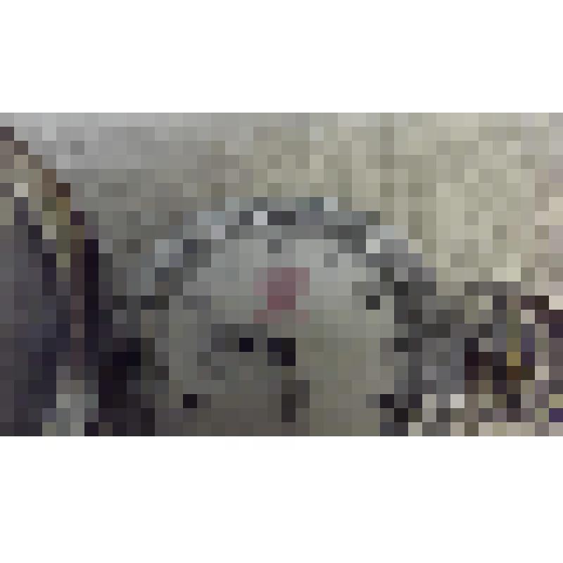 Часы  "Mолния"  мужские, карманные