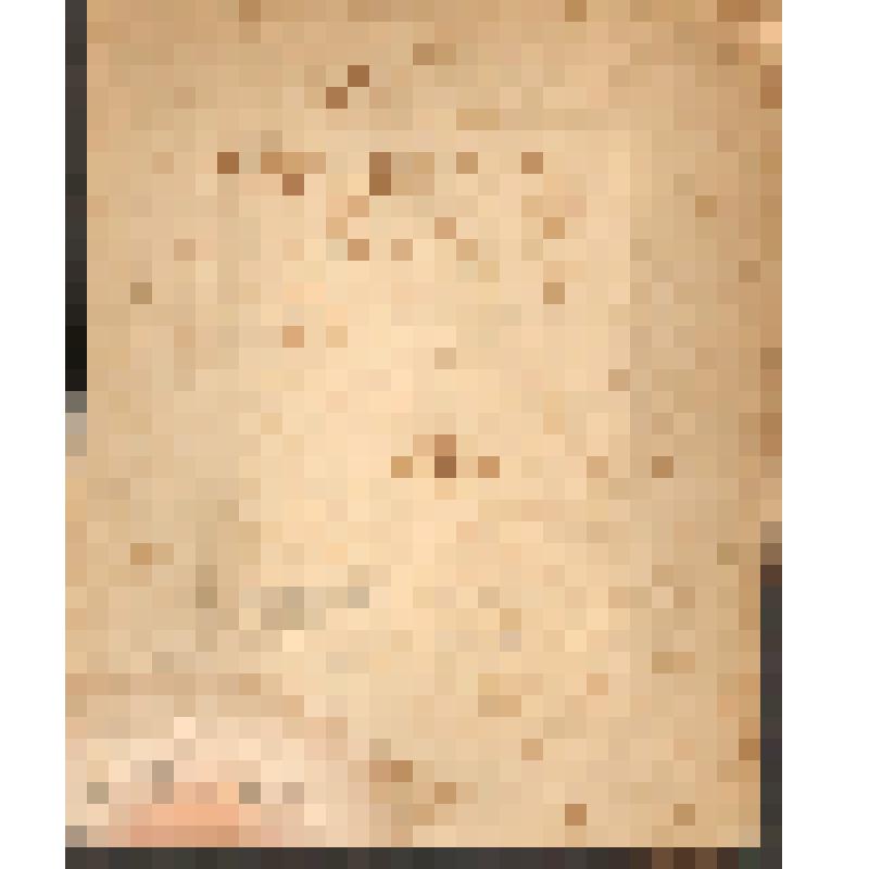 Фотография групповая. "Л.Е. Бердников с женой и сыном"