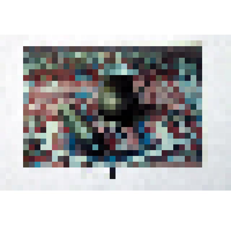 Фотография цветная. Фотография