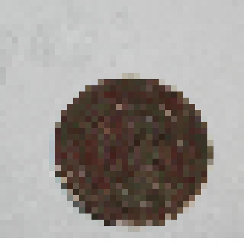 Монета. 10 копеек