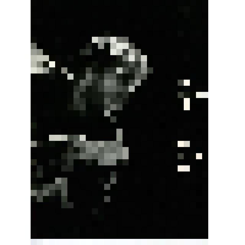 Фотография. Шмит - С. Тарамаев - погрудно, фас, корпус наклонен вправо, голова - почти в профиль, рот приоткрыт, в арестантской одежде. "Любящий Вас Коля" (пост. В. Драгунов, худ. Ю. Зайцев, М. Кузнецова). Москва, Малый драматический театр на Малой Бронно