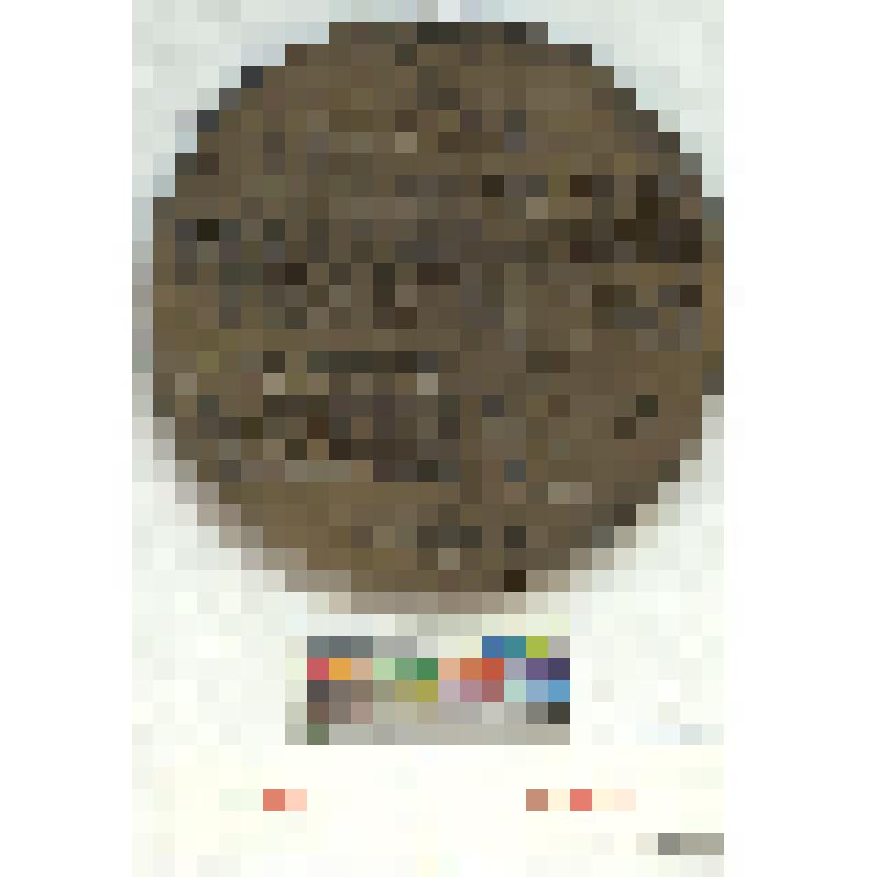 СССР. Медаль. 25 летие освобождения Севастополя. 1969 г