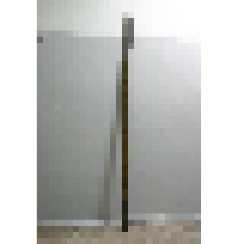 "Кото" - пальма