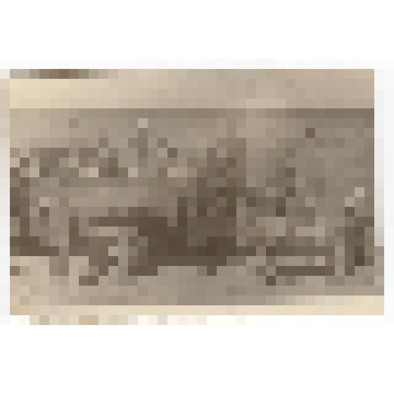 Фото. Полевые работы в колхозе "Красный коллективист". (фото Н.Смирнова)