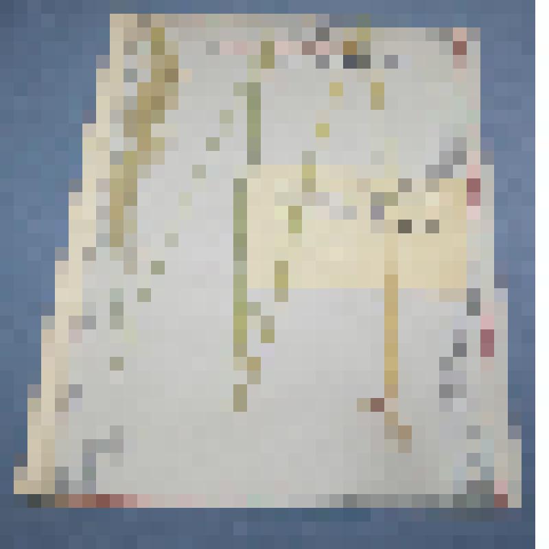 Ботаническая коллекция. Вейник наземный, семейство злаковые, на гербарном листе, южный склон горы Самохвал. Yramineae  Calamadrostis erideios