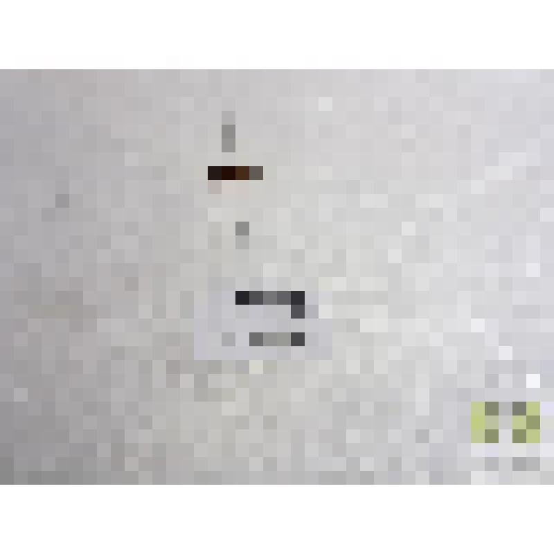 Дромиус окаймленный (Dromius )