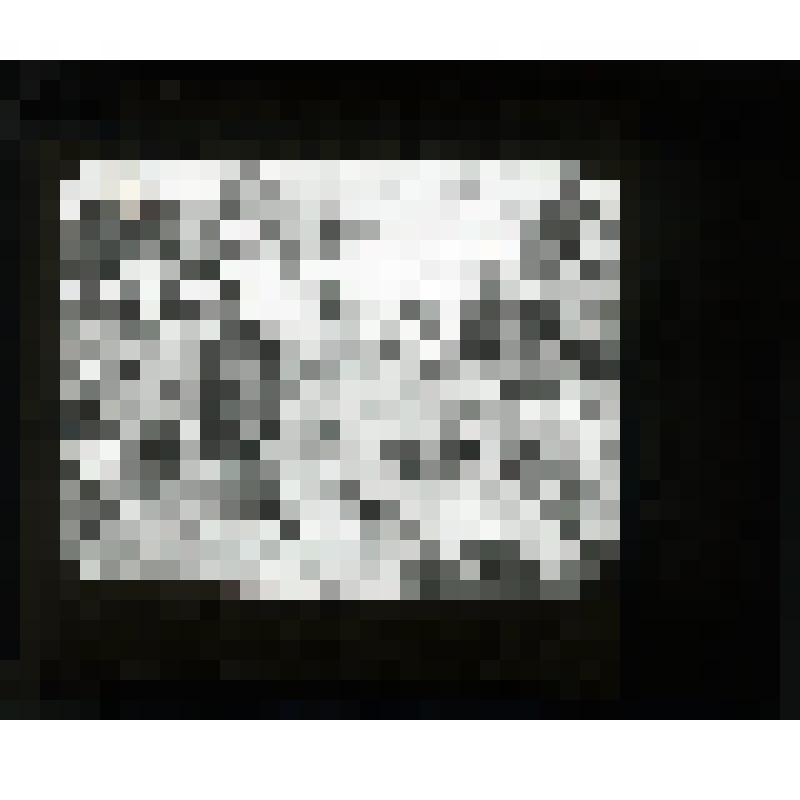 Диапозитив стеклянный черно-белый: сюжетное изображение - слева - увеличенное изображение воина с саблей в правой руке