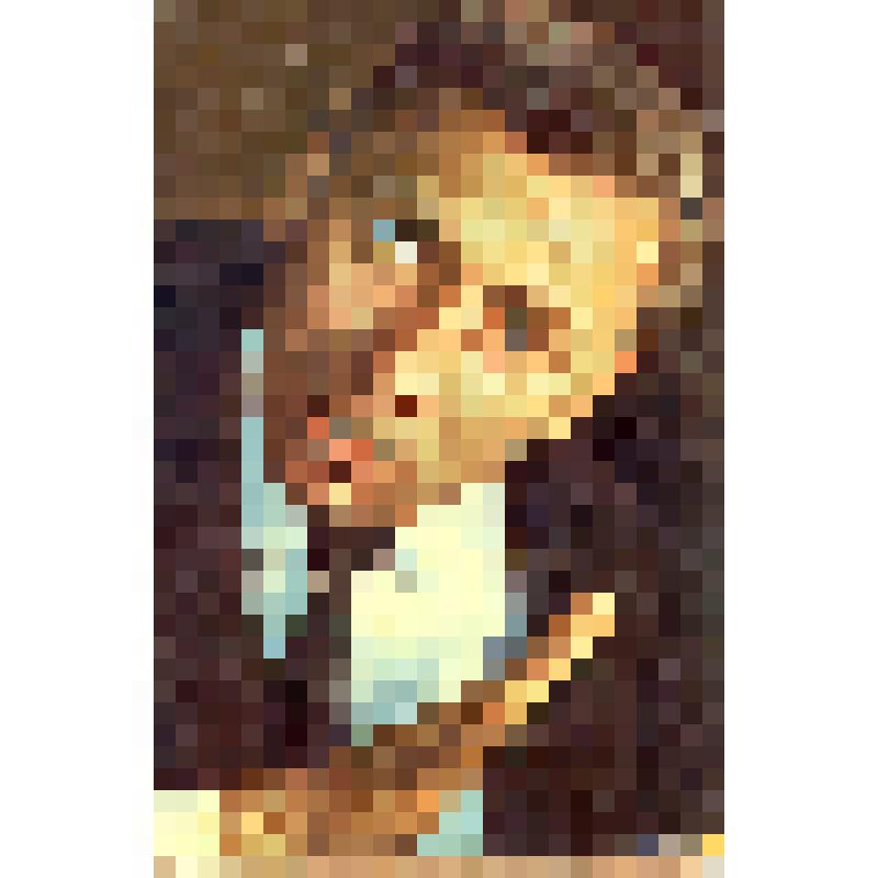 Набор открыток из 5 шт., цвет