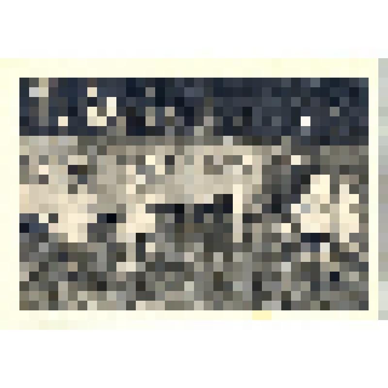 Открытое письмо «Ленизокомбинат»