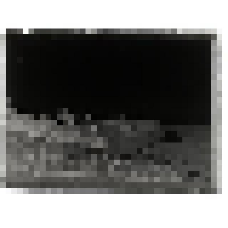 Тригорское и дорога в Михайловское