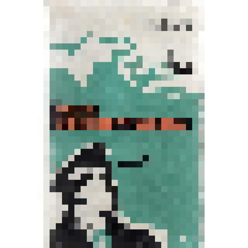 Книга. В.Г.Гузанов «Юнги Северного флота».
СССР, Москва, изд-во ДОСААФ СССР, 1977 г., 144 с