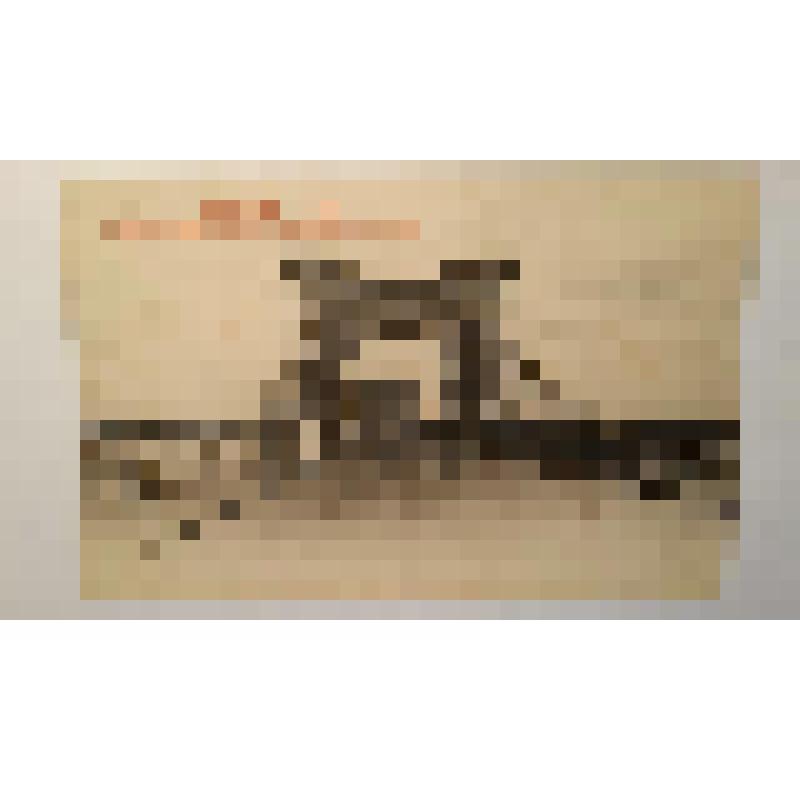 Николаевский цепной мост. 1853 г. Украина, г. Киев. Николаевский цепной мост. Перспективный вид. Фототипия Шерер, Набгольц и Ко, Москва