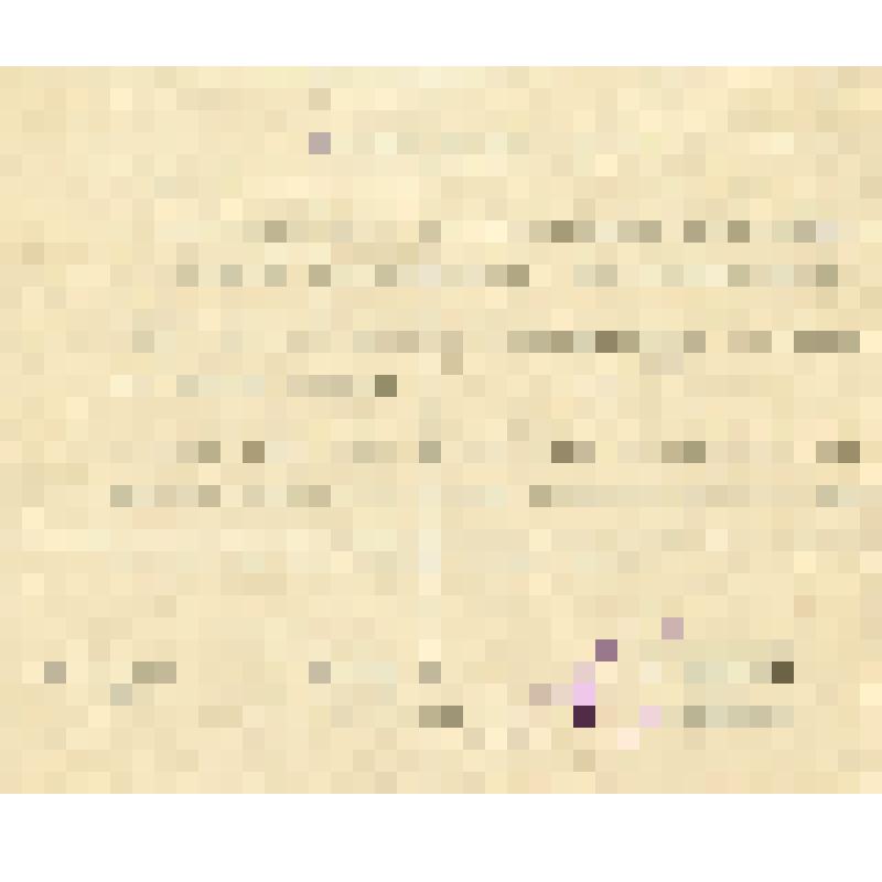 Письмо от дирекции завода N 183 с благодарностью Патону Е.О. и коллективу Института электросварки за оказанную помощь в деле наладки и освоения автоматической электросварки