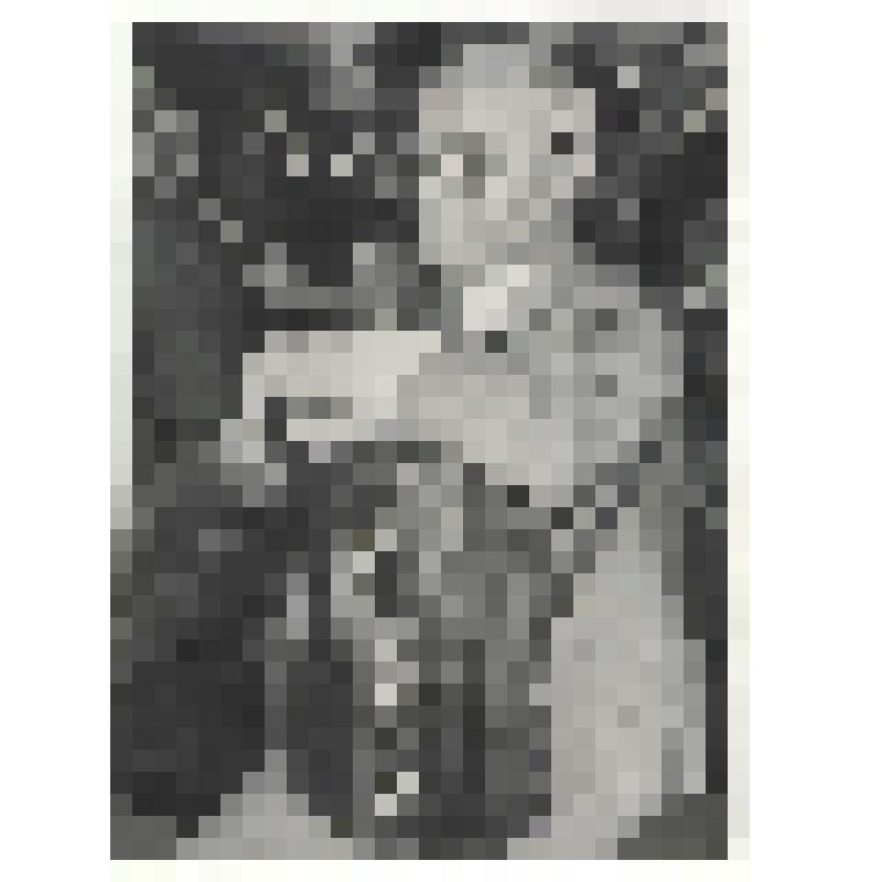 Фотография. Фатеев Анатолий Ипатьевич в зрительном зале с аккордеоном