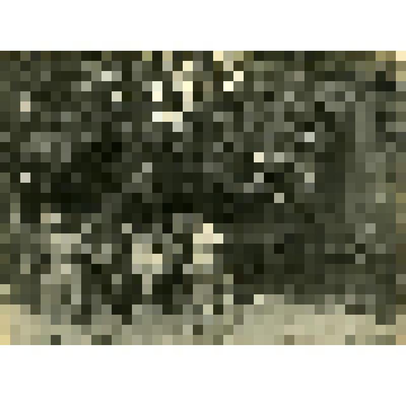 Фотография. Дом Чижовых, № 13 улица Каширская село Дьяковское