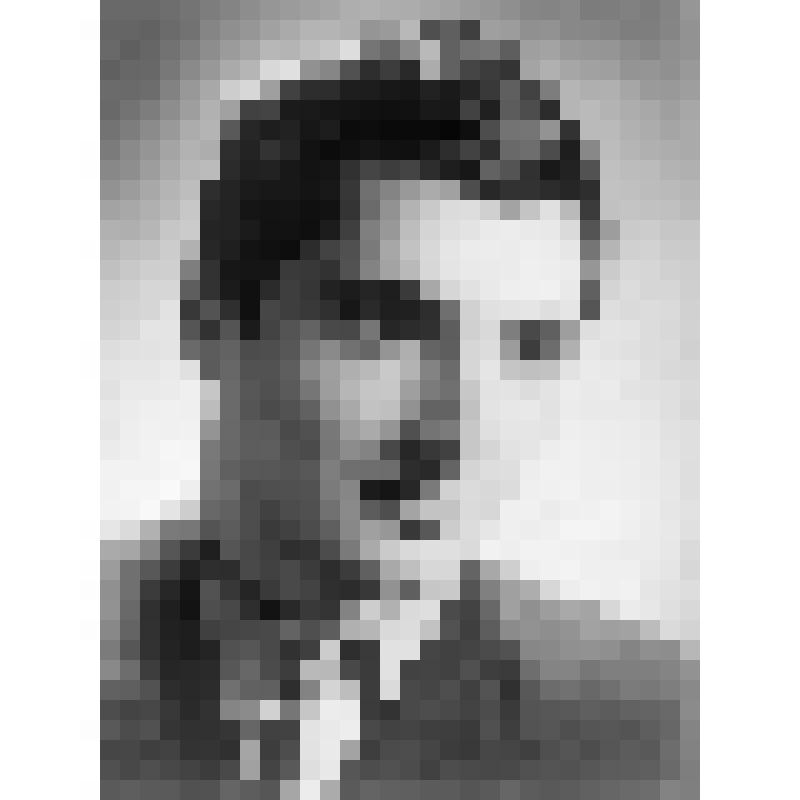 Негатив. Монолов С. - болгарский виолончелист