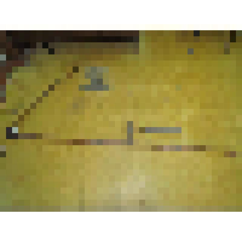 Коса с гребцами