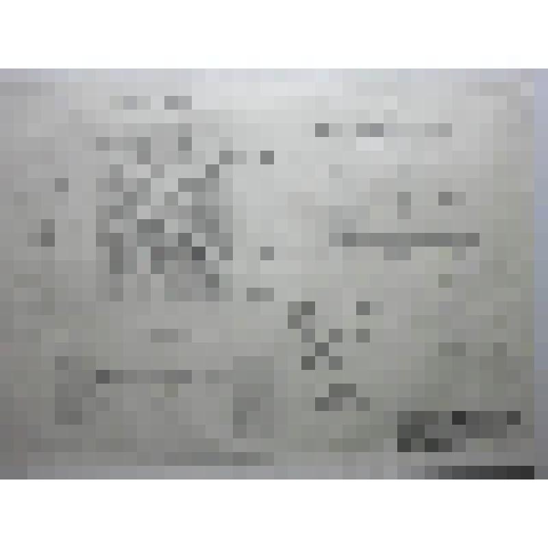 Собор Бориса и Глеба. Борисоглебский монастырь. XV-XIXвв. до 1537, паперть и кол-ня ХVII в. г.Дмитров. Борисоглебский монастырь. Собор Бориса и Глеба. Кованые металлические двери в южный Алексеевский придел. Фасад, план, деталь, схема расположения. Масшта