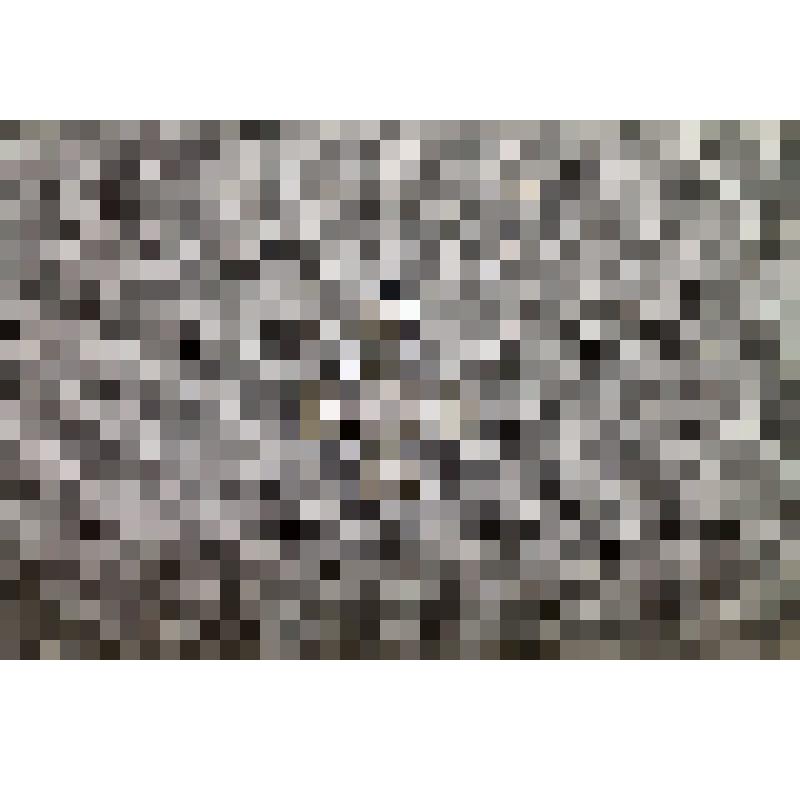 Знак отличия военного ордена для мусульман 4 ст