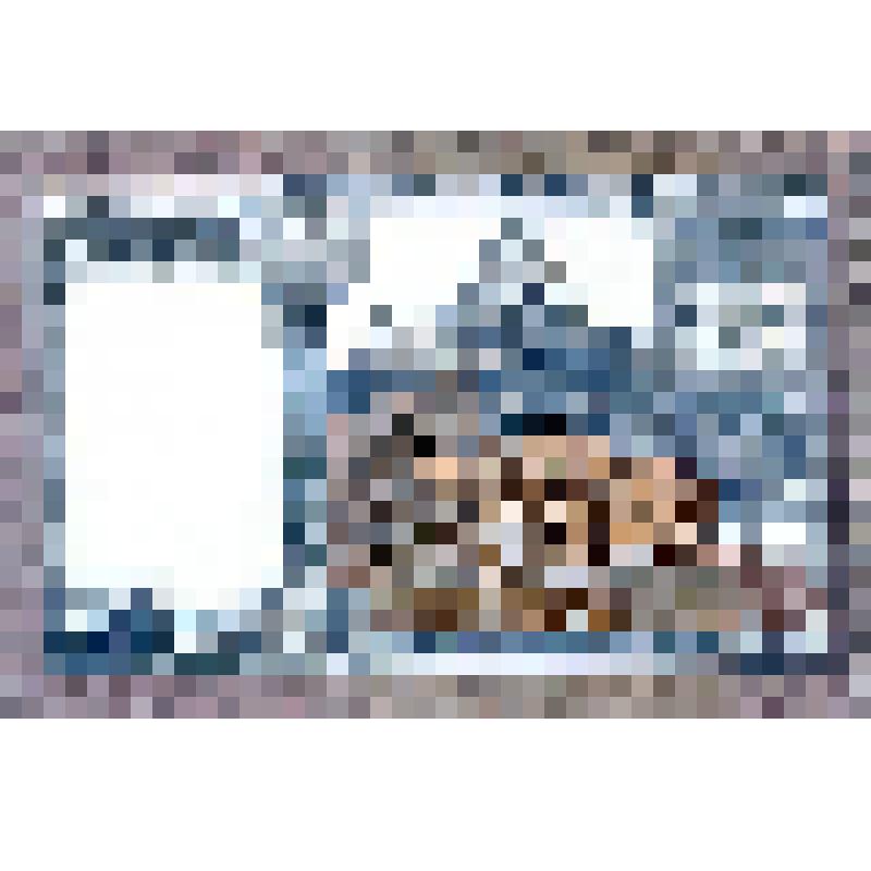 Банкнота Непала номиналом 1 рупия