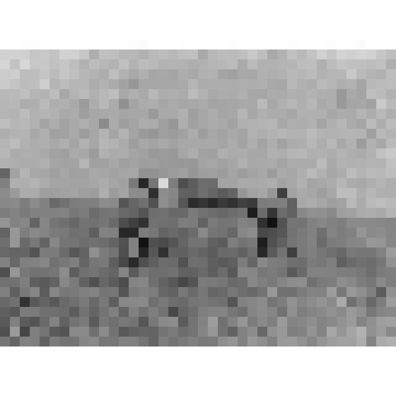 Транспортировка раненого офицера (Галиция)