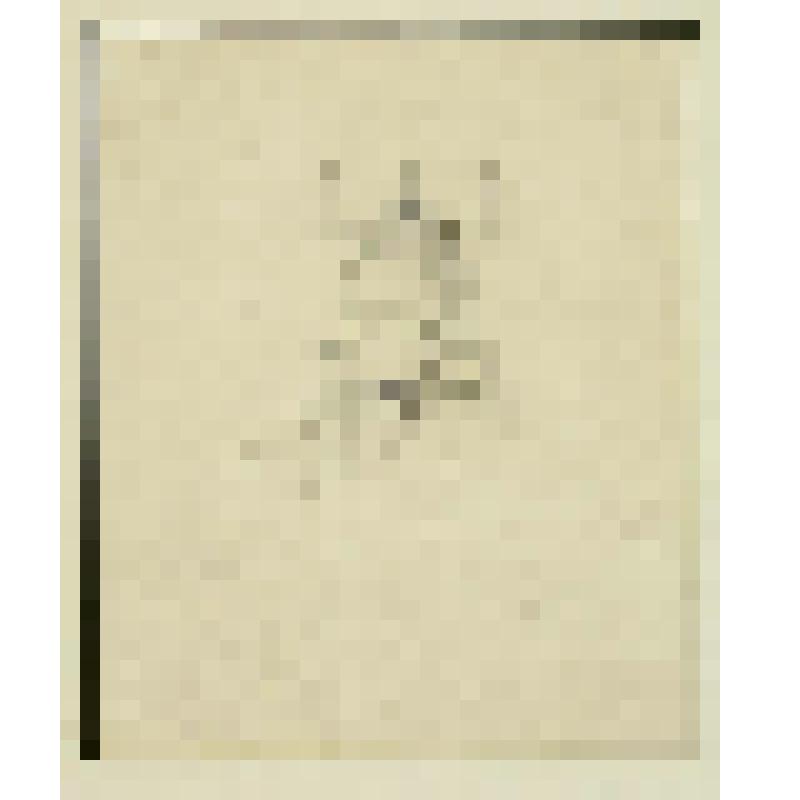 Женский портрет. Рисунок