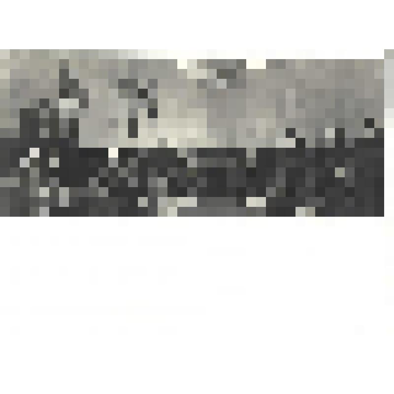 Фотографии. Фото ч/б. Конец войне. Капитуляцию фашистской Германии подписывает фельдмаршал Кейтель 8 мая 1945 г., принимает капитуляцию маршал Г.К. Жуков