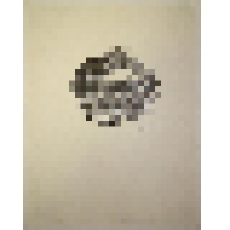 Иллюстрация к произведению Р. Гамзатова "Сонет"