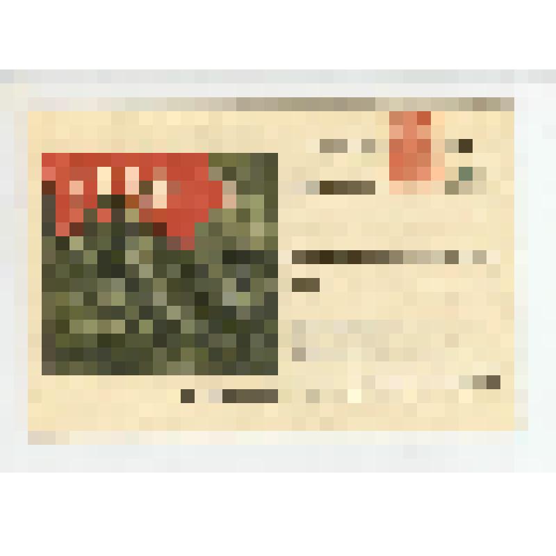Открытое письмо. "1944" (по заказу ВЧ 37467)