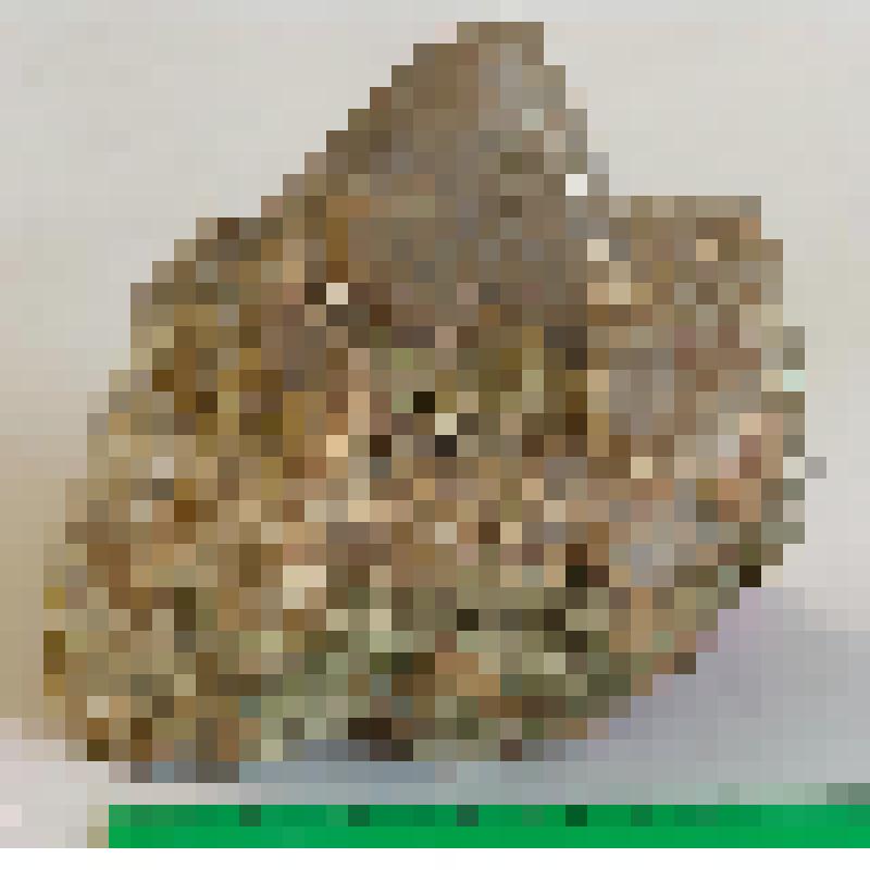 Образец геологический. Кальцит, пирит, ломантит (цеолит игольчатый).  Месторождение: Соколовско-Сорбайское, Казахстан. Calcite (название минерала, утверждённое IMA)