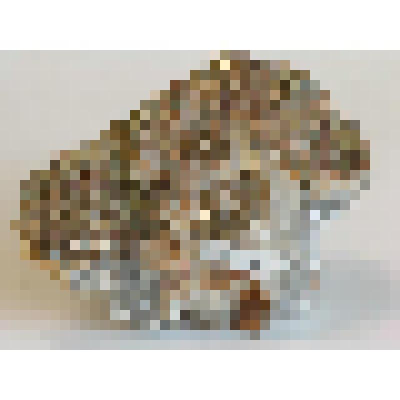 Образец геологический. Кальцит, пирит, ломантит (цеолит игольчатый).  Месторождение: Соколовско-Сорбайское, Казахстан. Calcite (название минерала, утверждённое IMA)