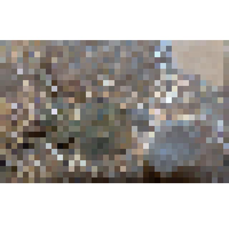 Образец геологический. Кальцит, пирит, ломантит (цеолит игольчатый).  Месторождение: Соколовско-Сорбайское, Казахстан. Calcite (название минерала, утверждённое IMA)