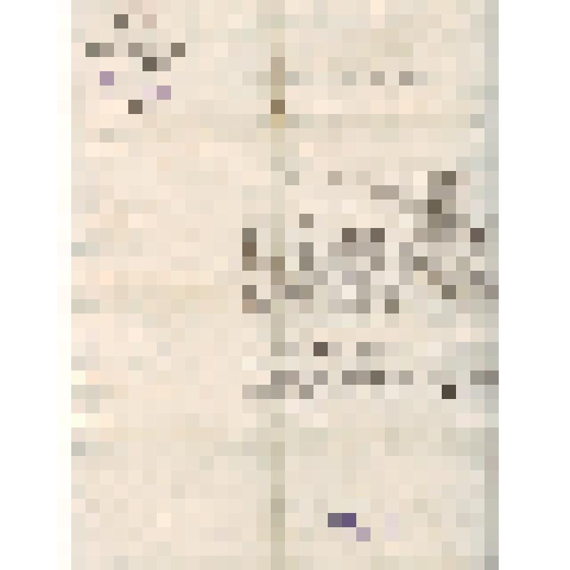 Письмо зам. Наркома обороны Щаденко Е.А., командиру и комиссару 1287 стрелкового полка 110 стрелковой дивизии о переводе в 1287 полк Можарской Б.В., где сражался и погиб ее муж Кузьмин