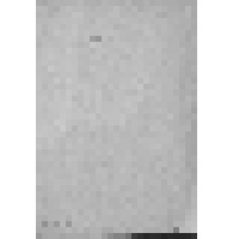 Уфимский губернский музей