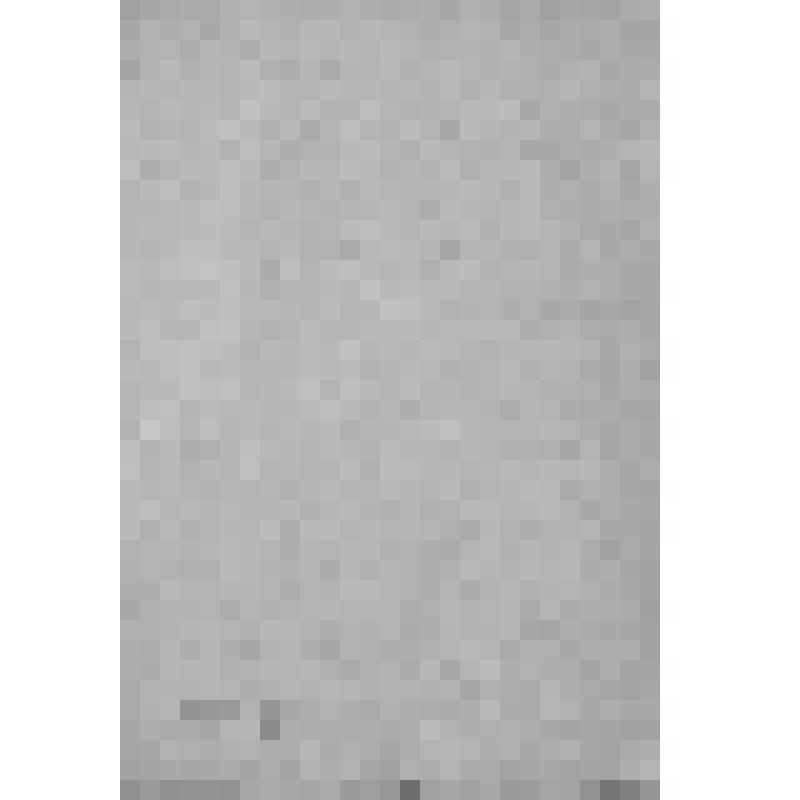 Уфимский губернский музей