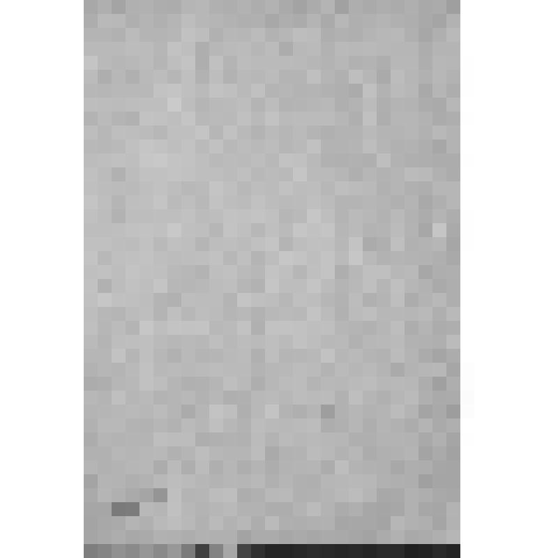 Уфимский губернский музей