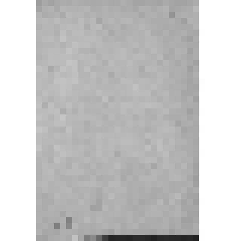 Уфимский губернский музей