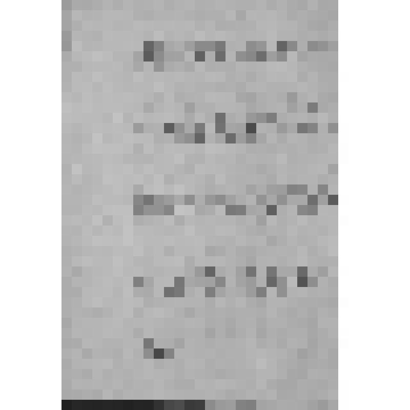 Уфимский губернский музей