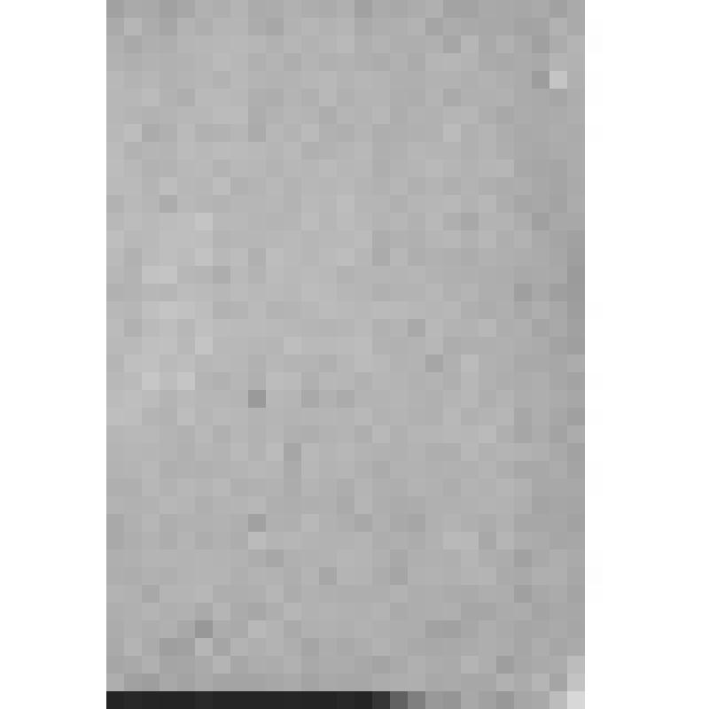 Уфимский губернский музей