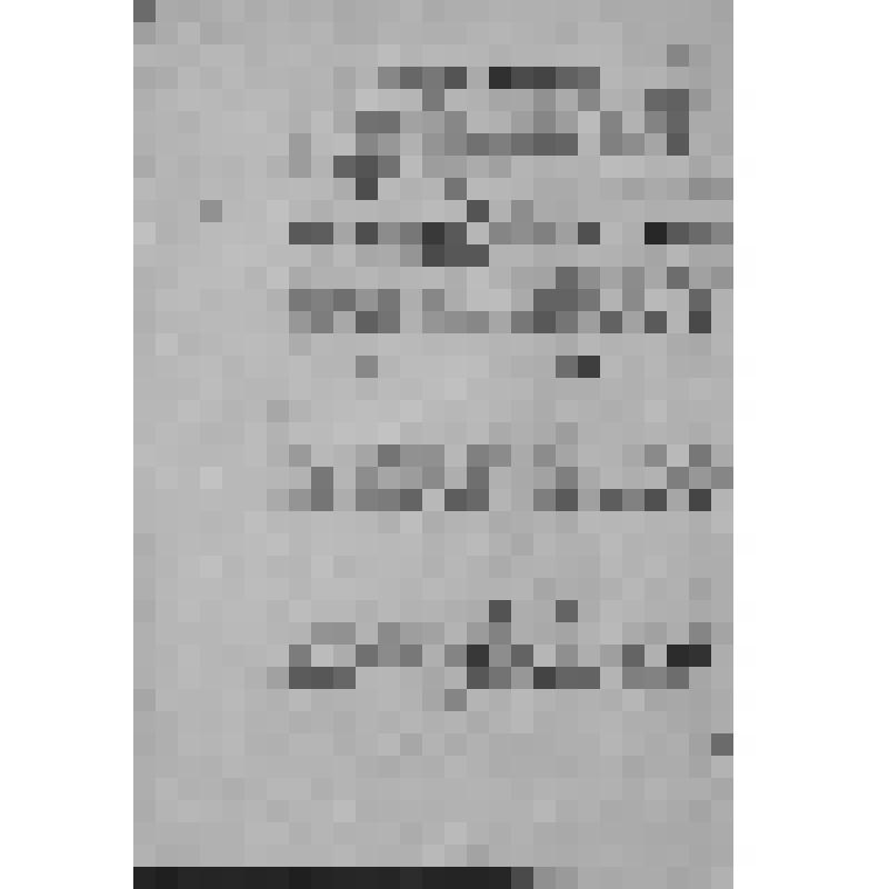 Уфимский губернский музей