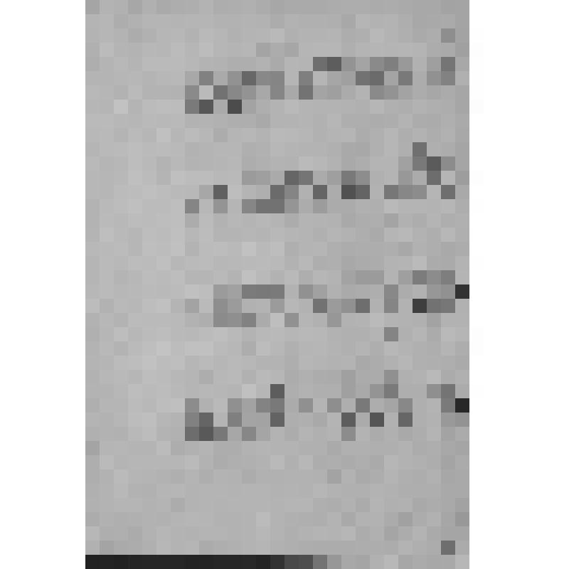 Уфимский губернский музей