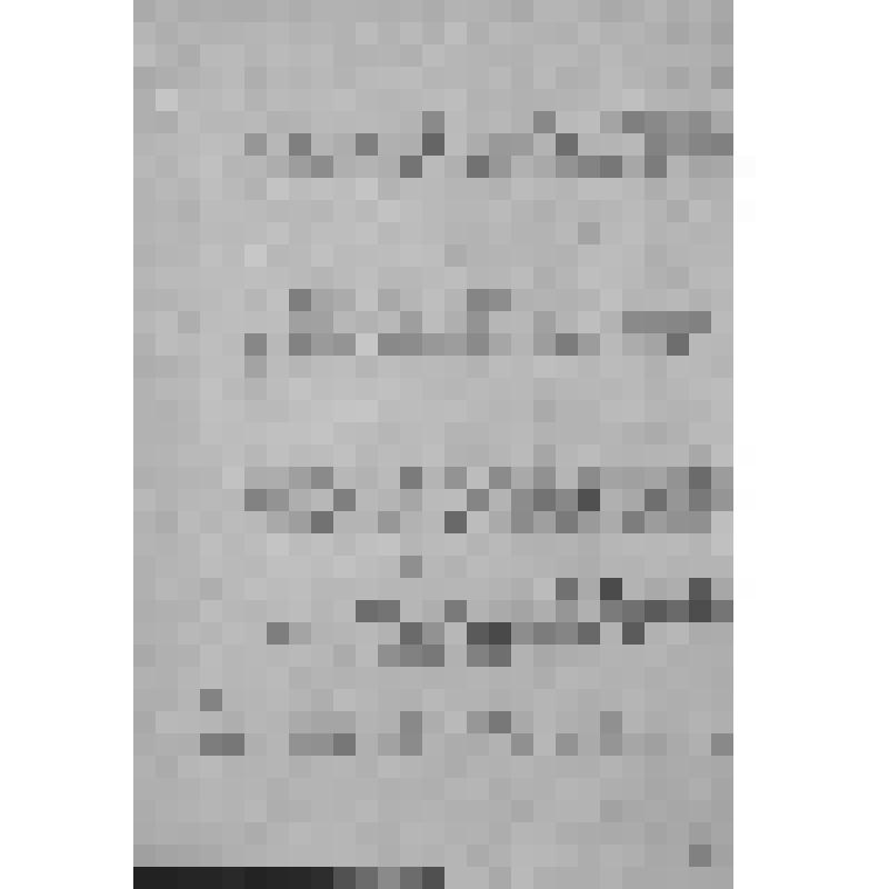 Уфимский губернский музей