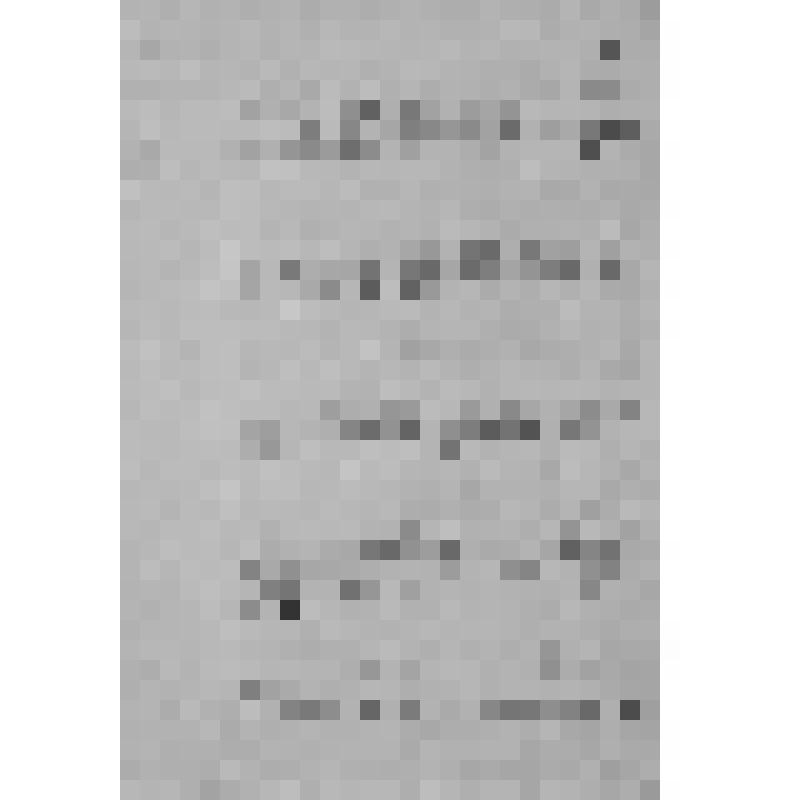 Уфимский губернский музей