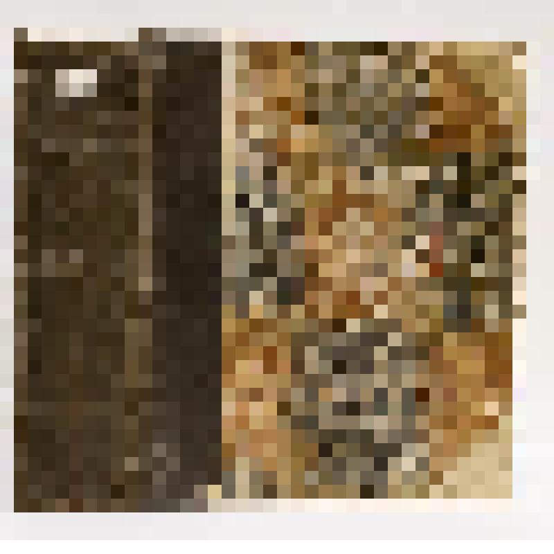 Книга. Mikroskopische Gemüths und Augen Ergössung